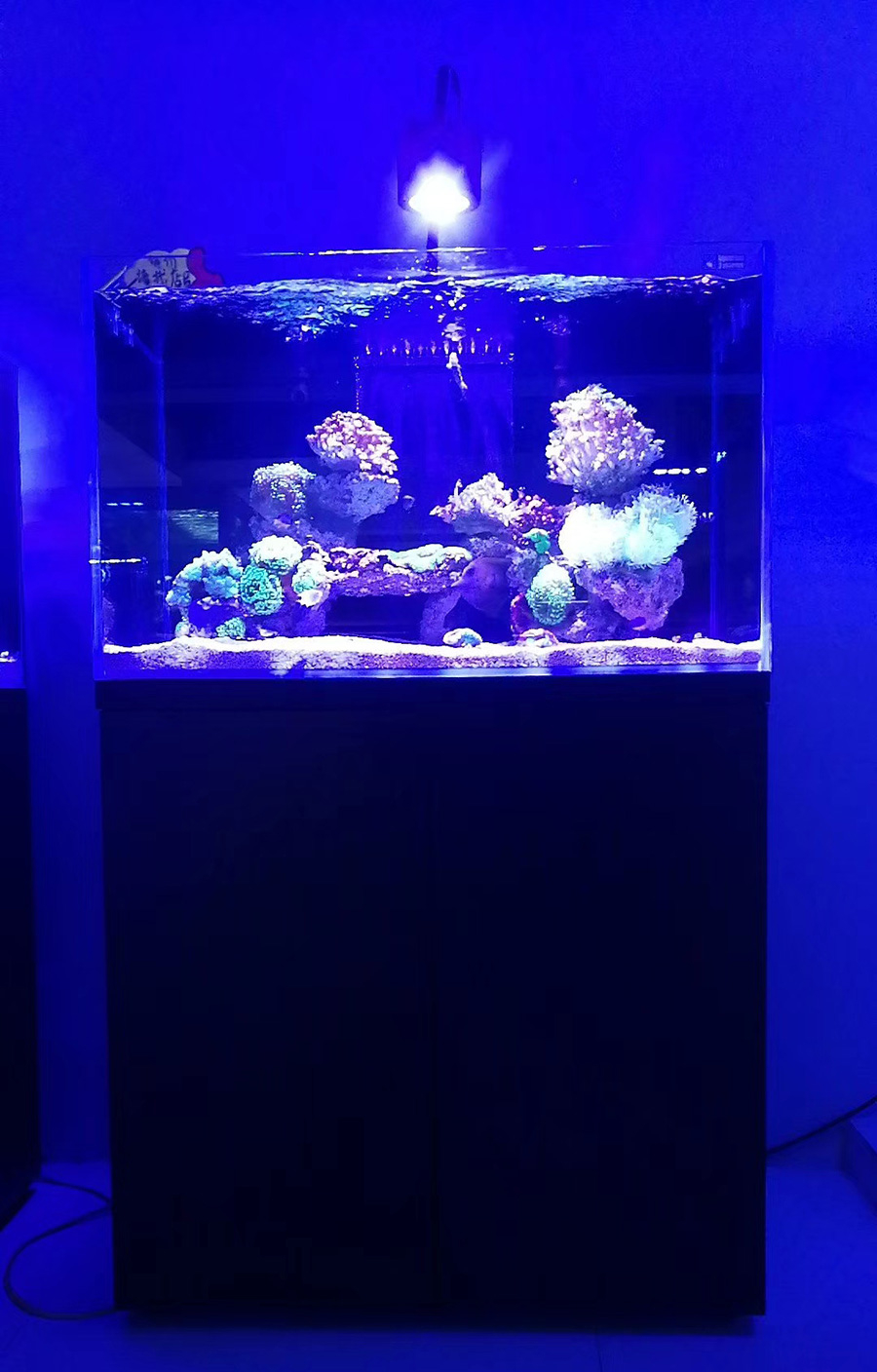 客廳海水缸定制項目