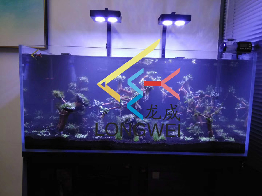 客廳海水缸定制項目