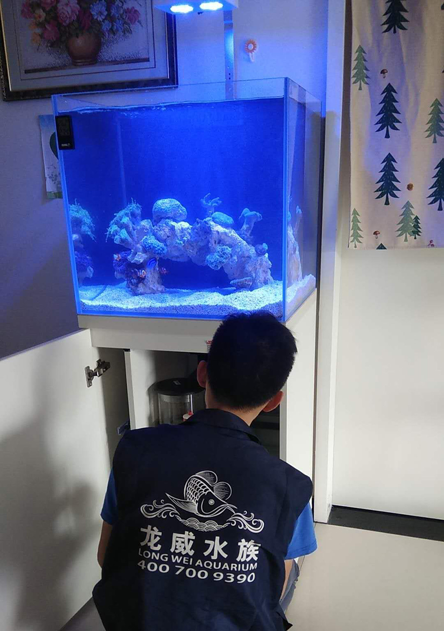 客廳海水缸定制項目