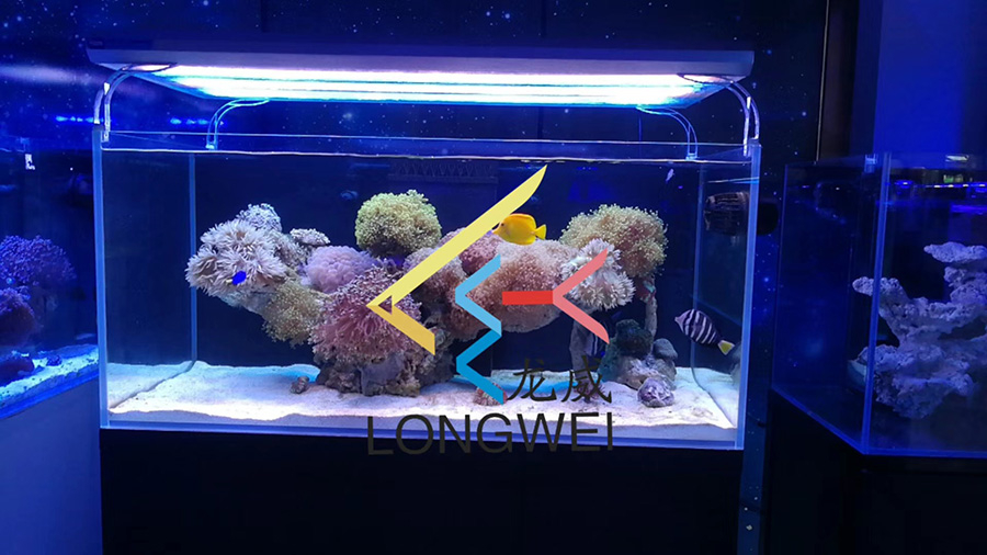 客廳海水缸定制項目