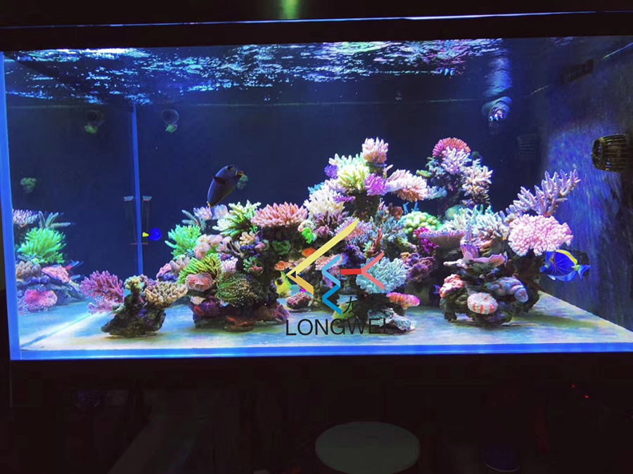 客廳海水缸定制項目