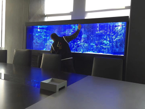 會議室海水缸定制清洗