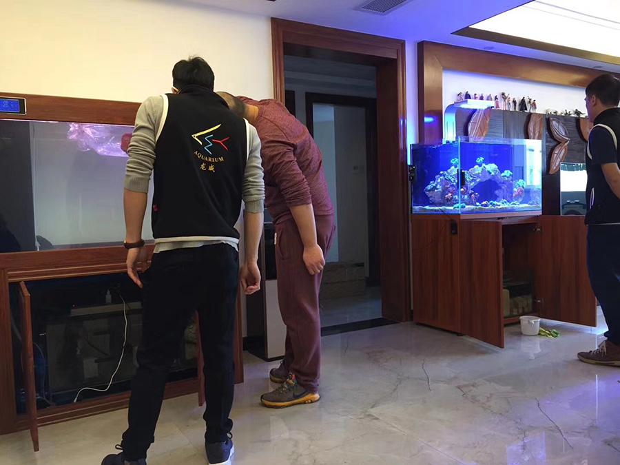 淡水海水缸定制項目