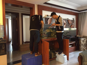 淡水海水缸定制項目