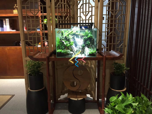 道爾頓公學 海洋科普 走進學校