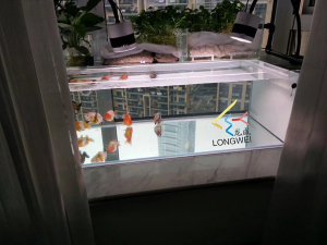 陽臺定制小型金魚缸——龍威水族