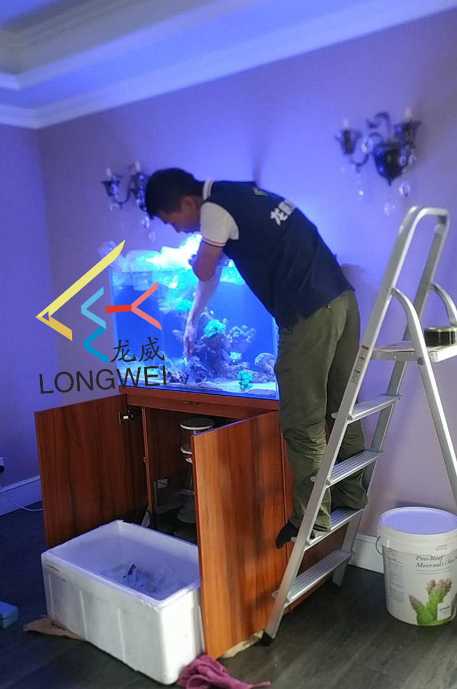 海水魚缸定制案例 ——龍威水族