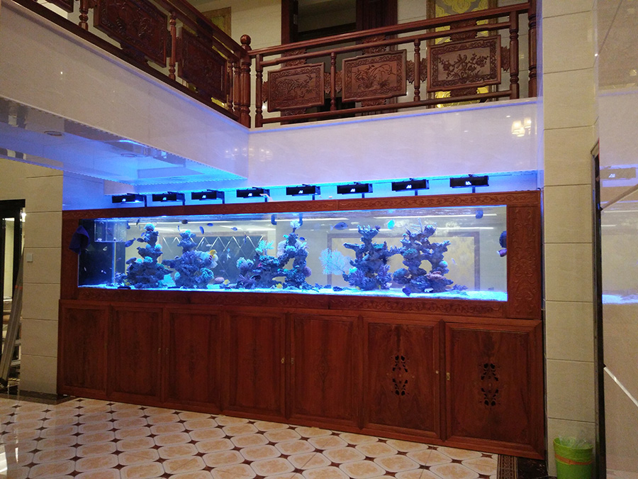 家用海水缸造景項目