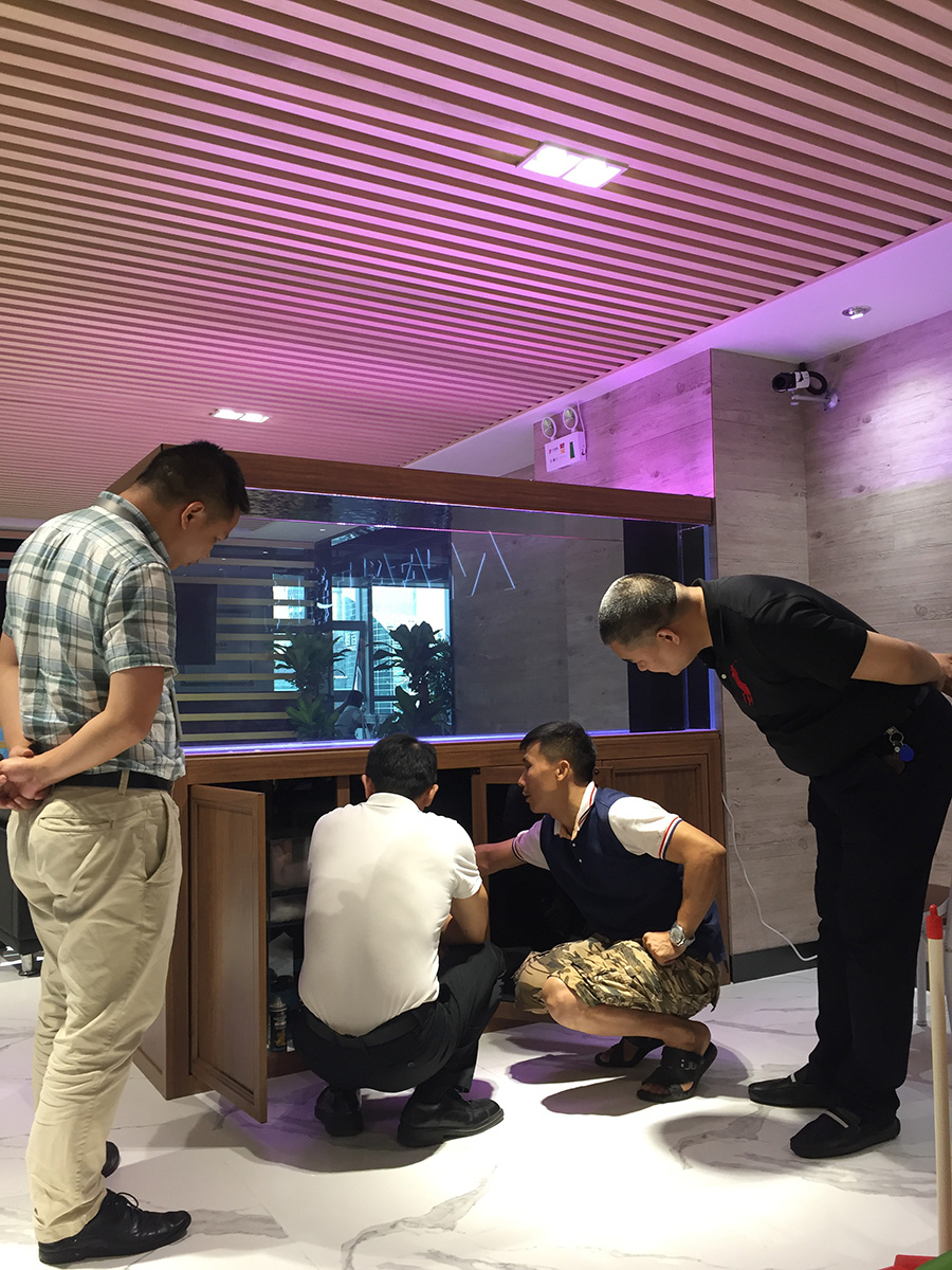 辦公室定制玻璃鋼項目