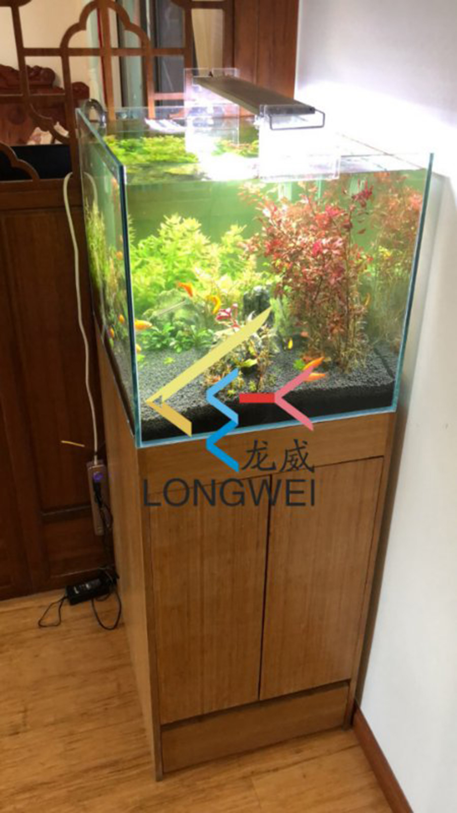 家庭客廳定做淡水草缸——龍威水族