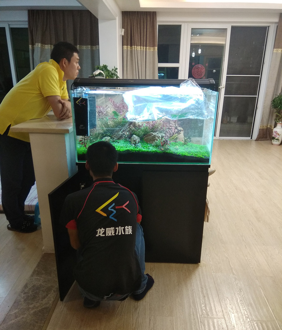 家庭客廳定做淡水草缸——龍威水族